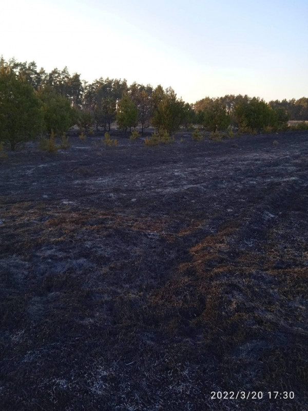 На Волині не вщухають пожежі в екосистемах: за кілька днів рятувальники гасили 112 займань