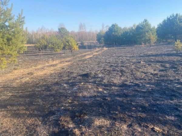На Волині не вщухають пожежі в екосистемах: за кілька днів рятувальники гасили 112 займань