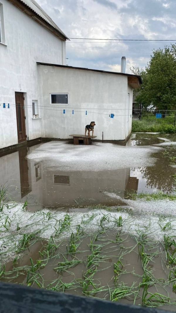Негода та град: негода попідтоплювала села біля Луцька