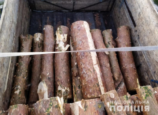 Волинянин перевозив 66 колод сосни без документів: вантаж вилучили