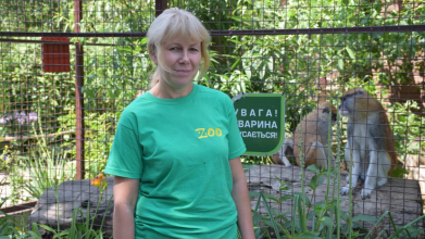 Від кераміки до тварин: переселенка з Донеччини знайшла роботу у Луцькому зоопарку