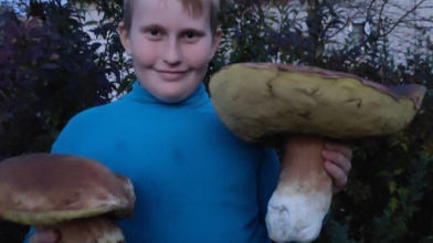 На Волині знайшли величезного білого гриба