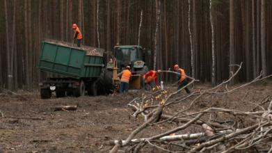 Котельні працюють, дровами забезпечені: як у волинській громаді, що межує з Білоруссю, готуються до зими