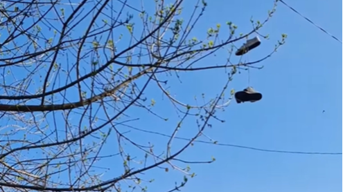У Луцьку хулігани закидали взуття на лінію електропередач та дерева біля нового урбан-парку