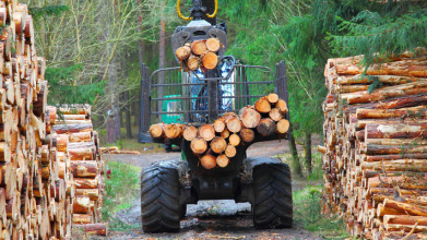Волиняни почали замовляти деревину в державному інтернет-магазині «ДроваЄ»