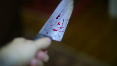 Завдала 16 ножових ран різними ножами: на Львівщині жінка жорстоко вбила свого знайомого