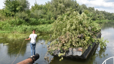У Луцьку розчистять Стир від повалених дерев за 600 тисяч гривень  