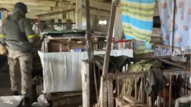 Росіяни в окупованому селі жили та їли зі свинями
