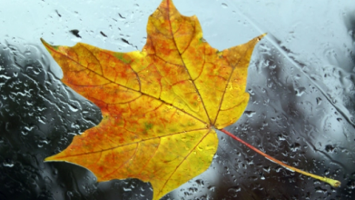 Дощитиме майже весь день: погода у Луцьку на четвер, 22 вересня