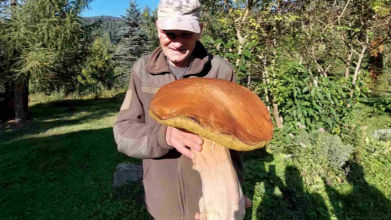 У Карпатах знайшли гриб-гігант, який важить 3 кілограми