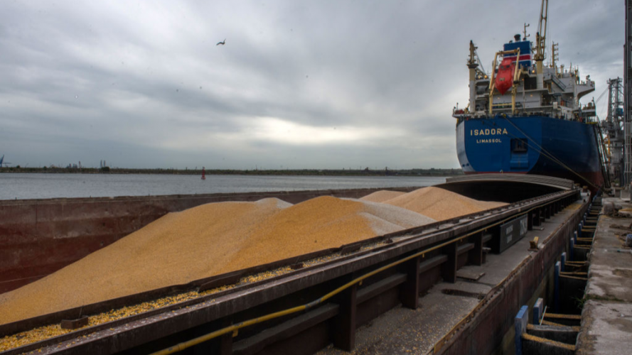 Україна експортувала перші 18 тисяч тонн кукурудзи в обхід Чорного моря
