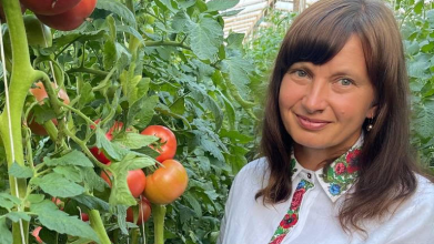 Як виростити ідеальні помідори: секрети досвідченої городниці з Камінь-Каширщини