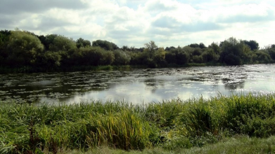 Річка перетворилася на болото: де саме у Луцьку чиститимуть Стир