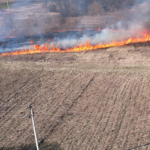 Поблизу Луцька сталась масштабна пожежа: показали відео з дрона