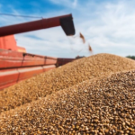 Україна домовилась з Польщею про відновлення транзиту зерна