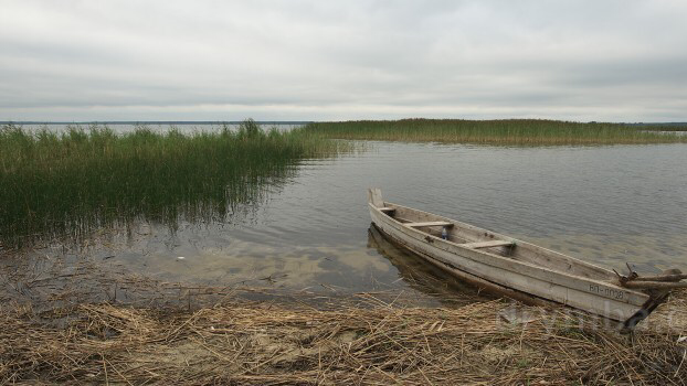 Волинські волонтери міняють землю на Шацьких озерах на позашляховик