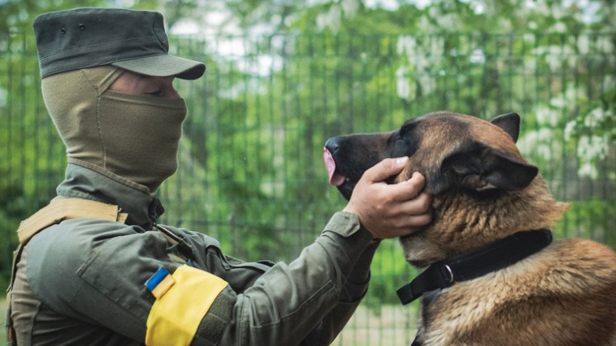 Покинутий рашистами пес служить у Нацгвардії України