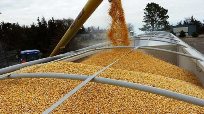Харківщина буде з хлібом: з Волині відправлять 2 тисячі тонн зерна