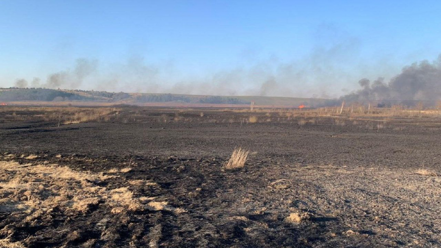 На Волині 46-річний чоловік підпалив очерет, а згоріло понад 100 га поля