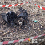 В ЗСУ показали уламки збитих російських ракет. Фото