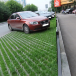 У Луцьку на проспекті автомобілістам не вистачає місць для паркування: опублікували петицію